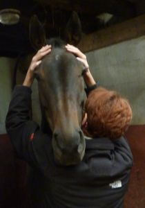 Techniques craniennes